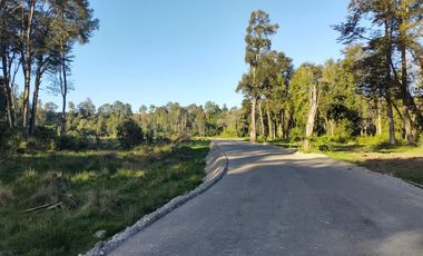 Remate Parcelas En Rupanco Frutillar Region De Los Lagos.