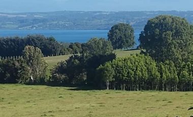 Remate Parcelas En Rupanco Frutillar Region De Los Lagos.