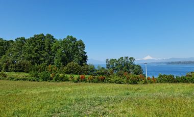 Remate Parcelas En Rupanco Frutillar Region De Los Lagos.