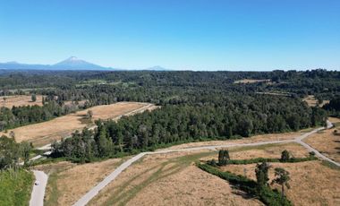 Remate Parcelas En Rupanco Frutillar Region De Los Lagos.