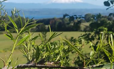 Remate Parcelas En Rupanco Frutillar Region De Los Lagos.