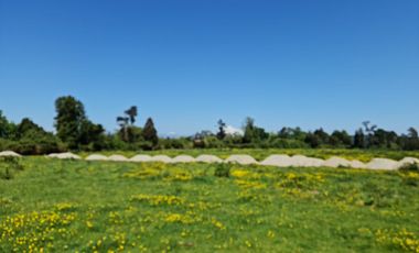 Remate Parcelas En Rupanco Frutillar Region De Los Lagos.