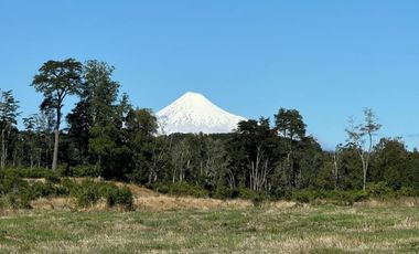 Remate Parcelas En Rupanco Frutillar Region De Los Lagos.