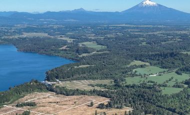 Remate Parcelas En Rupanco Frutillar Region De Los Lagos.