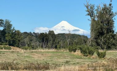 Remate Parcelas En Rupanco Frutillar Region De Los Lagos.