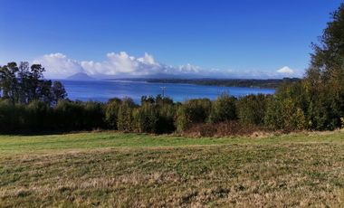 Remate Parcelas En Rupanco Frutillar Region De Los Lagos.