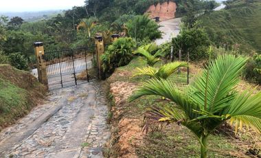 Finca En Venta Yolombo Antioquia