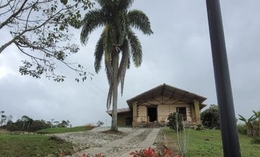 Finca En Venta Yolombo Antioquia