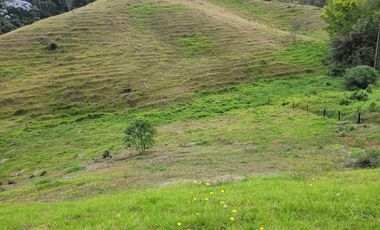 Finca En Venta Yolombo Antioquia