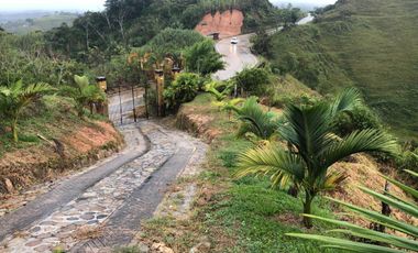Finca En Venta Yolombo Antioquia