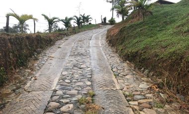 Finca En Venta Yolombo Antioquia