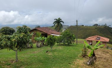 Finca En Venta Yolombo Antioquia