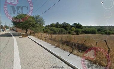TERRENO DE UNA HECTÁREA EN VENTA, CALVILLITO, AGS.