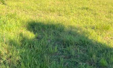 Parcela en venta en PARRAL