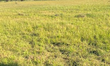 Parcela en venta en PARRAL