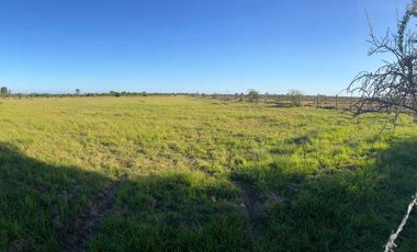 Parcela en venta en PARRAL