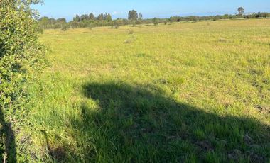 Parcela en venta en PARRAL