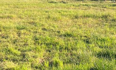 Parcela en venta en PARRAL