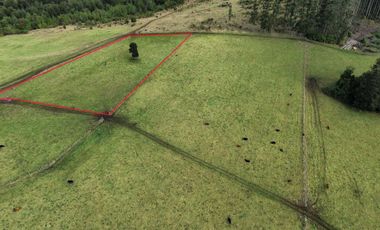 Parcela en venta en LOS MUERMOS