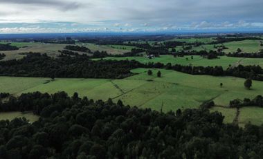 Parcela en venta en LOS MUERMOS