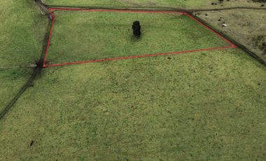 Parcela en venta en LOS MUERMOS