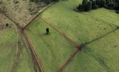 Parcela en venta en LOS MUERMOS