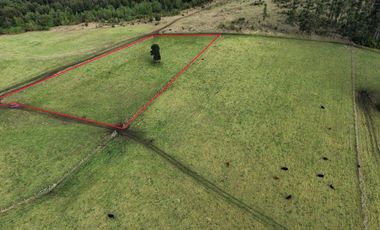 Parcela en venta en LOS MUERMOS