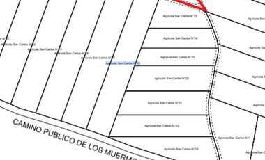 Parcela en venta en LOS MUERMOS