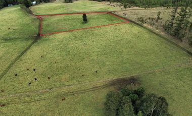 Parcela en venta en LOS MUERMOS