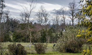Casa en Arriendo en Padre Las Casas