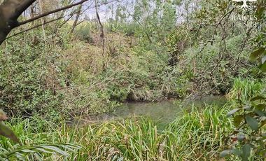 Casa en Arriendo en Padre Las Casas