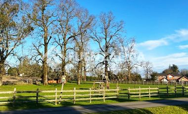 Parcela en Venta en Avenida Doña elena 84