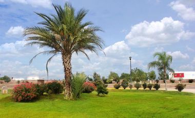 TERRENO EN VENTA EN VILLAS DEL RENACIMIENTO, TORREON COAH.