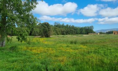 CASA NUEVA EN SECTOR CHOROICO, LA UNIÓN