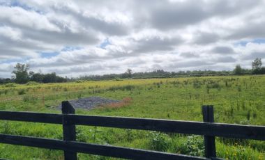 CASA NUEVA EN SECTOR CHOROICO, LA UNIÓN