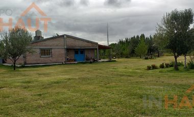Chacra en  Cinco Saltos