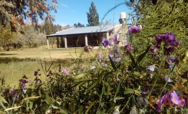 Chacra en  Cinco Saltos