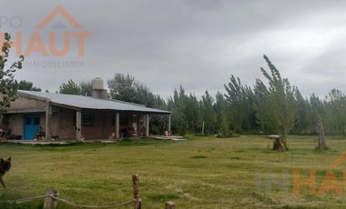 Chacra en  Cinco Saltos