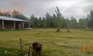 Chacra en  Cinco Saltos
