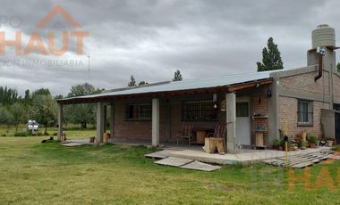 Chacra en  Cinco Saltos