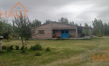 Chacra en  Cinco Saltos