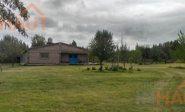 Chacra en  Cinco Saltos