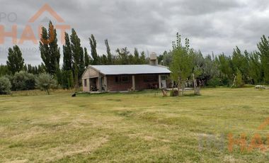 Chacra en  Cinco Saltos