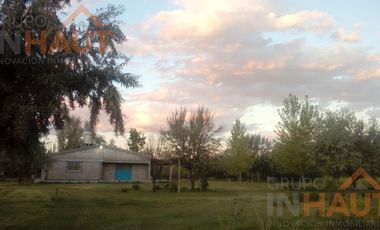 Chacra en  Cinco Saltos