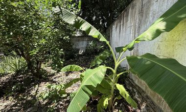 Casa en venta con terreno amplio en San José, Mérida Yucatán