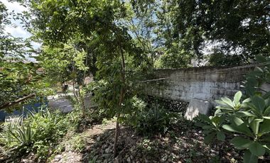 Casa en venta con terreno amplio en San José, Mérida Yucatán