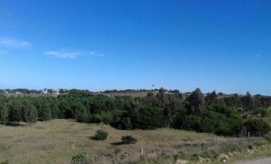 Terreno en venta - 184980Mts2 - Necochea