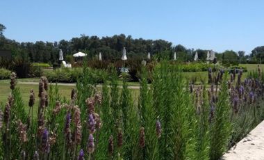 Terreno en venta 2250mts2 totales - Campos de Roca II