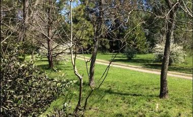 Casa en venta - 4 dormitorios 2 baños - Cochera - 12.000 mts2 - Villa Elisa