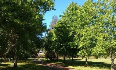 Casa en venta - 4 dormitorios 2 baños - Cochera - 12.000 mts2 - Villa Elisa